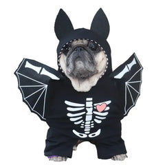 Black Bat Costume for Dogs