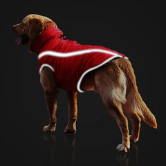 Thickened dog clothes windproof pet jacket